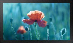 Информационный дисплей Samsung Smart Signage QB13R (LH13QBREBGCXEN)
