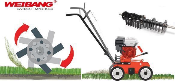Скарифікатор Weibang WB384RB