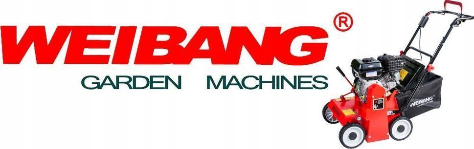Скарифікатор Weibang WB384RB