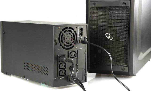 Линейно-интерактивный ИБП Energenie EG-UPS-PS3000-01