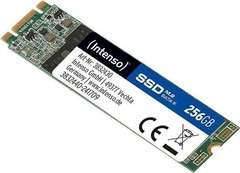 SSD накопитель Intenso Top 256 GB (3832440)