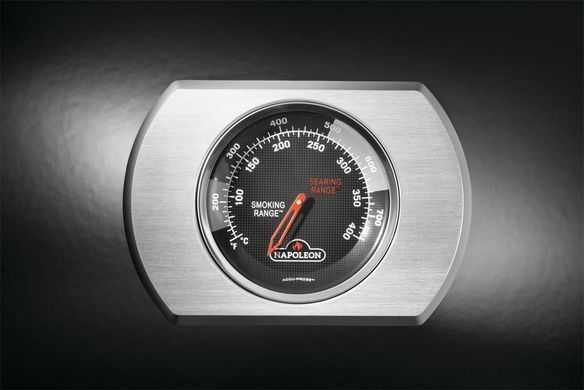 Гриль стационарный газовый Napoleon Rogue 425 (R425SB)
