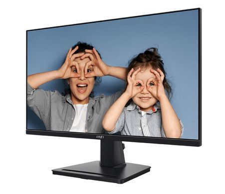 Монитор MSI Pro MP251 E2