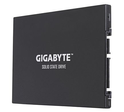 SSD накопитель Gigabyte 256 GB (GP-GSTFS31256GTND)