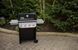 Гриль газовий стаціонарний Weber Spirit E 425 GBS Better Black