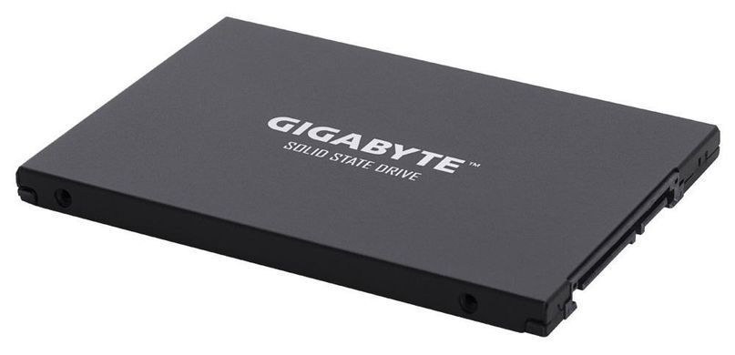 SSD накопитель Gigabyte 256 GB (GP-GSTFS31256GTND)