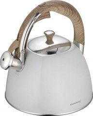 Чайник Klausberg KB-7500