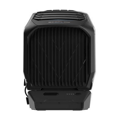 Мобільний кондиціонер EcoFlow Wave 2 (ZYDKT210-EU)