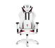 Комп'ютерне крісло для геймера Diablo Chairs X-Ray L white