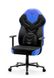 Комп'ютерне крісло для геймера Diablo Chairs X-Gamer 2,0 L Black/Blue