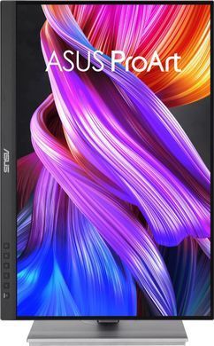 ЖК монитор ASUS PA248CNV (90LM05K1-B03370)