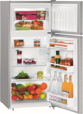 Холодильник с морозильной камерой Liebherr CTel 2131
