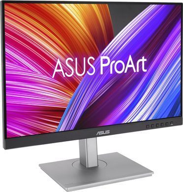ЖК монитор ASUS PA248CNV (90LM05K1-B03370)
