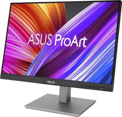 ЖК монитор ASUS PA248CNV (90LM05K1-B03370)