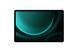 Планшет Samsung Galaxy Tab S9 FE Wi-Fi 6/128GB Ocean Green (SM-X510NLGAEUE)
