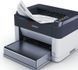 Принтер Kyocera FS-1061DN (1102M33NL0)