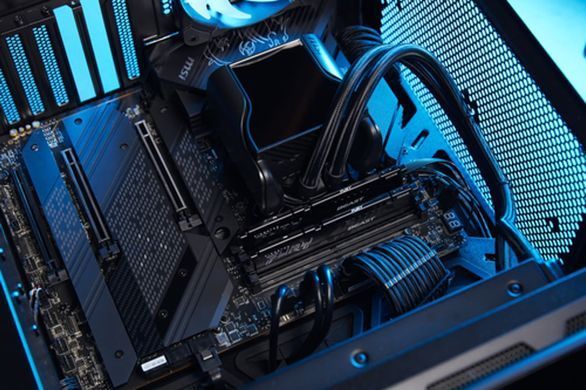 Пам'ять для настільних комп'ютерів Kingston FURY 32 GB DDR5 6000 MHz Beast EXPO (KF560C36BBE-32)